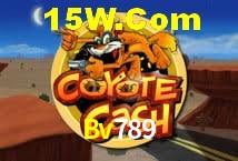 Responsive Design Bv789