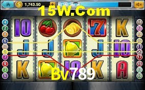 Security Systems Bv789