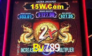 Sistemas de Segurança Bv789