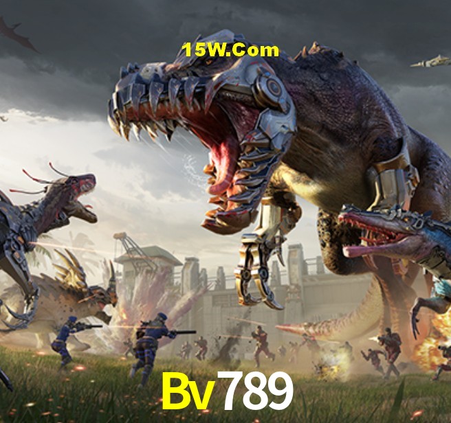Provedores de Jogos Bv789